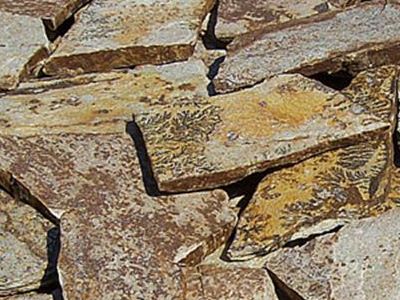 gneiss YELLOW SPOTTED